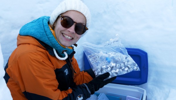 Searching for ice sheet insights in sedimentary ancient DNA 